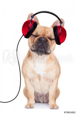 dog music - 901147166