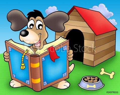 Dog with book in front of kennel - 900492244