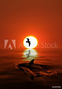 Dolphin in the ocean - 900183262