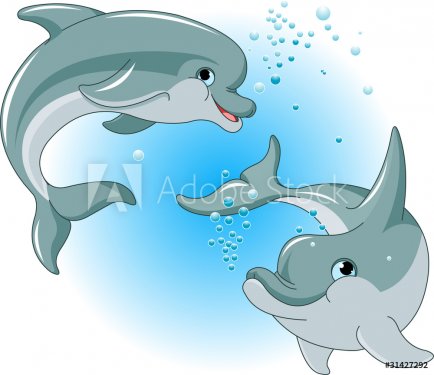 Dolphins couple - 900458911