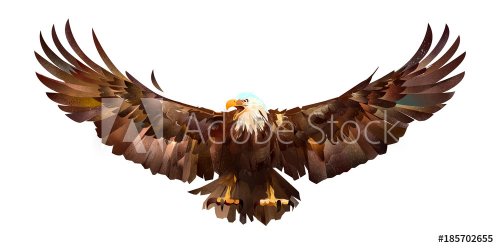drawn sketch colored eagle on a white background - 901153503