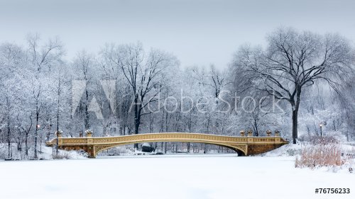 Dreamy landscape with the Bow Bridge in Central Park, NYC - 901146793