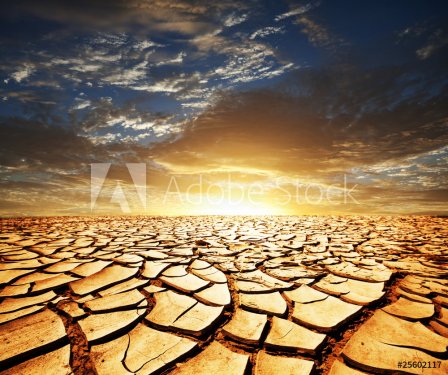 Drought land - 900057242