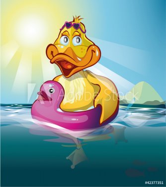 duck swims - 901140587