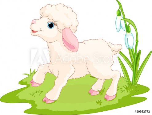 Easter lamb - 900458563