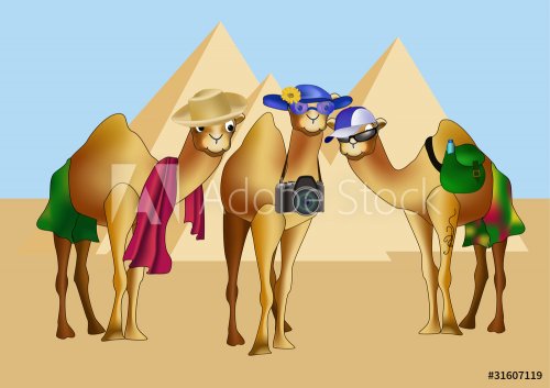 Egypt travel - 900498518