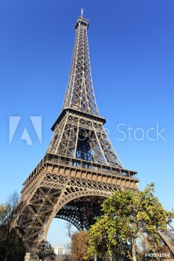 Eiffel Tower and trees - 900342381