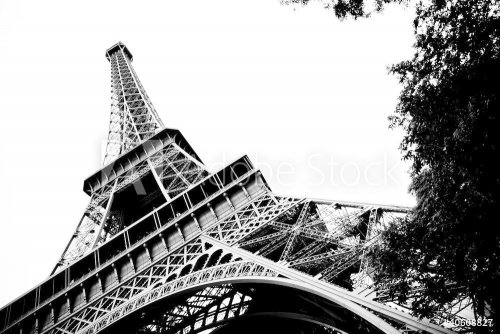 Eiffel Tower Black and White - 900463801
