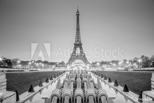 Eiffel tower, Paris, France in black and white. - 901153017