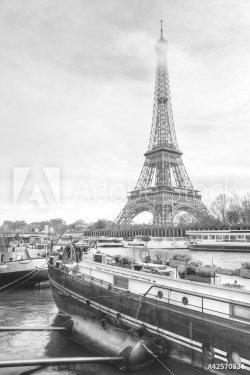 Eiffel Tower River View - 900451804