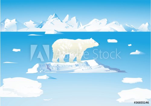 Eisbär und Eisbären - 900468983