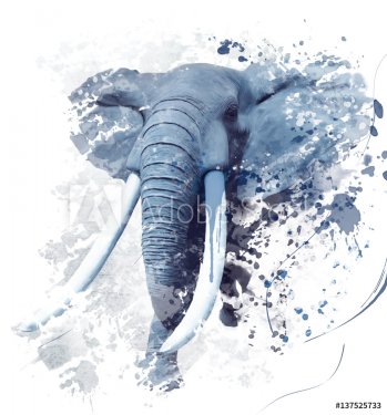  Elephant Portrait Watercolor - 901154477