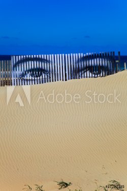 Eyes on the dune