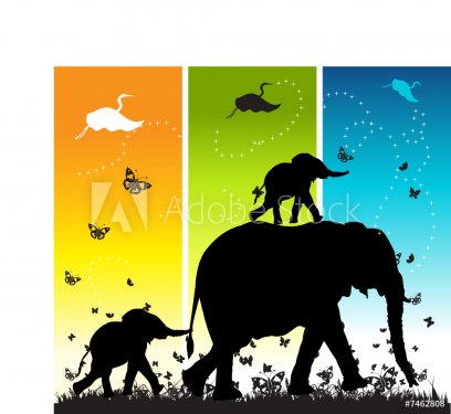 Family of elephants on nature walk - 900459408
