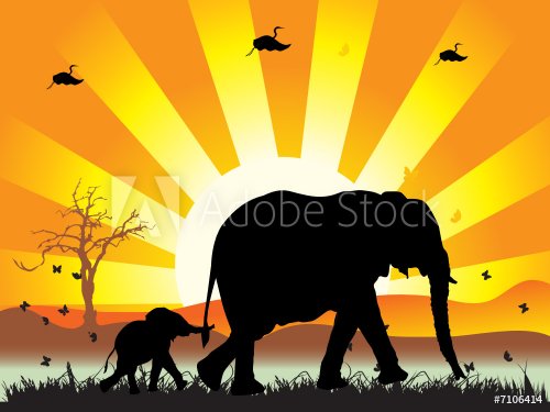 Family of elephants on nature walk, vector illustration