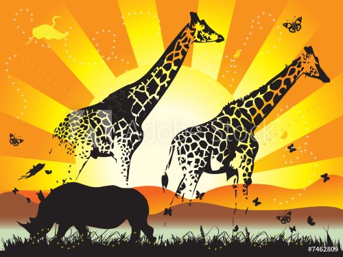 Family of giraffe on nature walk - 900459437