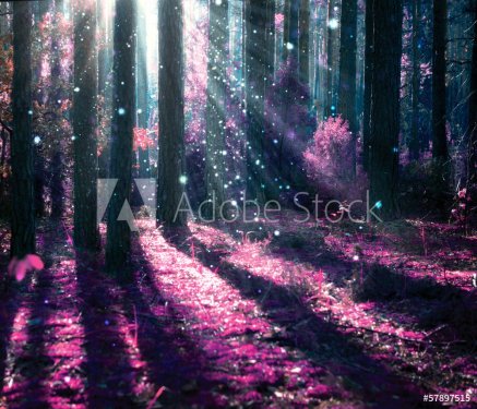Fantasy Landscape. Mysterious Old Forest. - 901141502