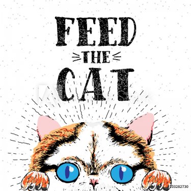 Feed the cat. Vector illustration with hand drawn lettering on texture background. Inscriptions for pet lovers. Painted brush lettering. Custom typography. Calligraphic. Poster with demanding phrase.