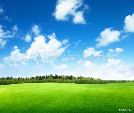 field of grass and perfect sky - 900385362