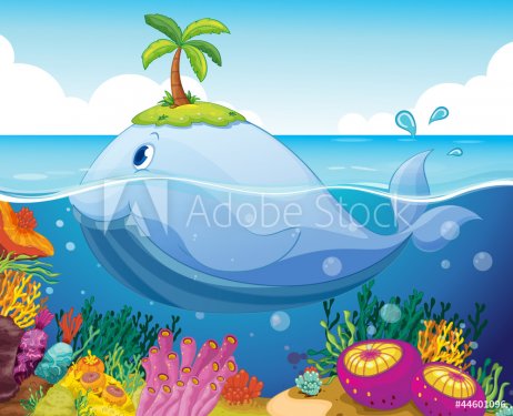 fish, island and coral in the sea