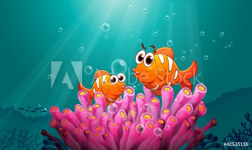 fishes in water - 900460512