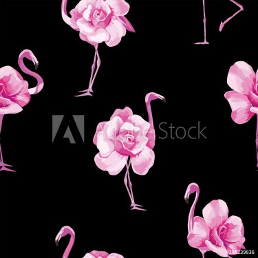 flamingo rose black background - 901152019