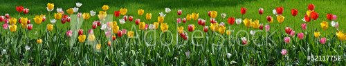 Floral panorama - 901143225