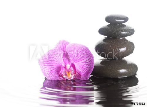 Flower and stones in water