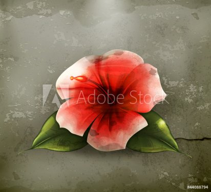 Flower red, old-style vector