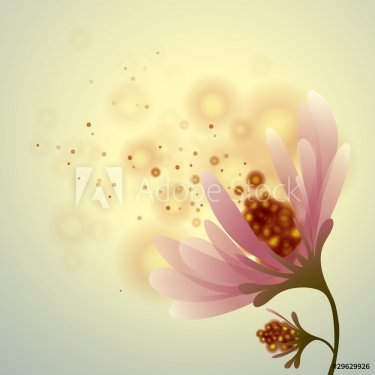 Flower romantic background Peony - 900485131