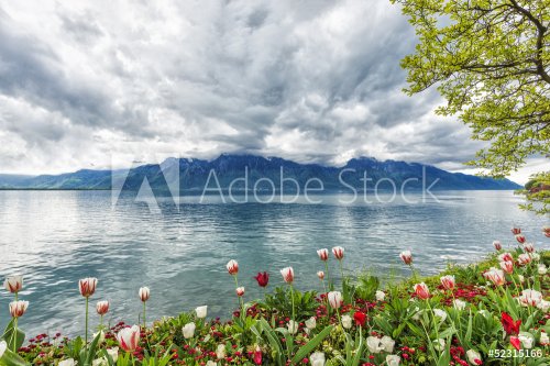 Flowers against mountains, Montreux. Switzerland - 901143233