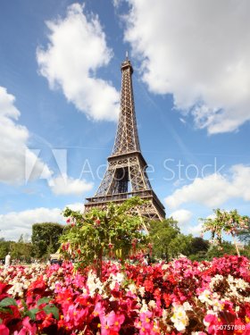 Flowers and the Eiffel Tower - 901139972