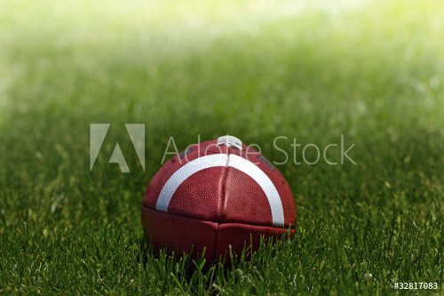 Football on Grass - 900354404