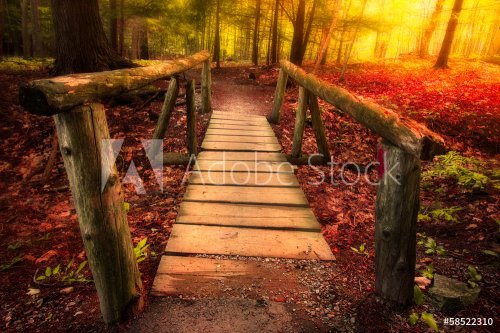 Footbridge path through woods in magical light