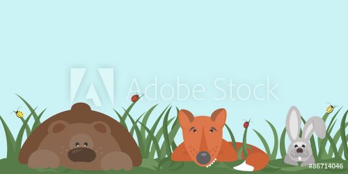Forest dwellers (bear, fox, hare) hiding in the grass, looking around with cu... - 901147107