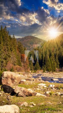 forest river with stones and moss at sunset - 901144611
