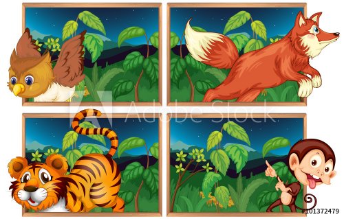 Four forest scenes with wild animals