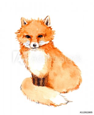 Fox animal. Watercolor
