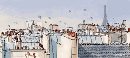 France - Paris roofs - 901143287