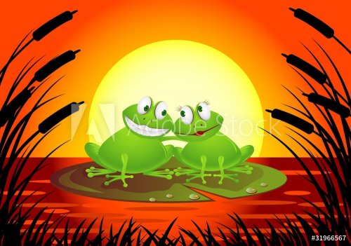 frog in love - 900461297