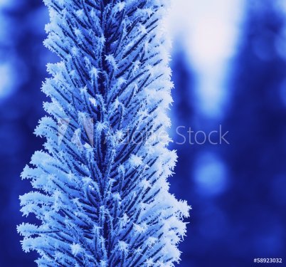 Frozen tree - 901141603