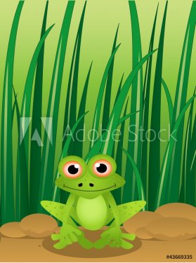 funny frog on grass background - 900567421