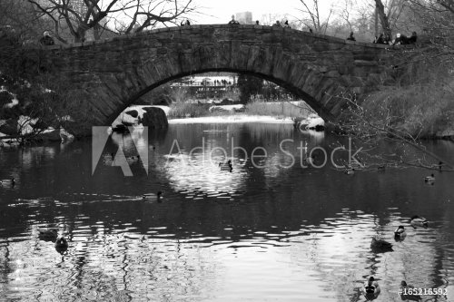 Gapstow bridge over the lake and ducks in black and white