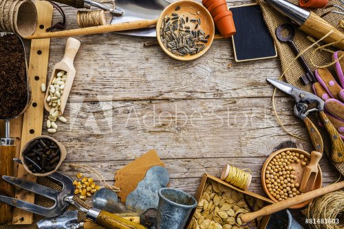 Garden tools and seeds on a wooden background, frame - 901146524