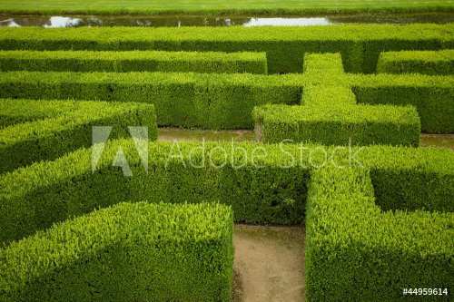 geometric pattern of green hedge flowerbed - 901139607