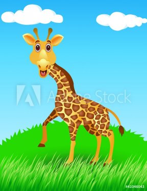 giraffe in the wild - 900465904