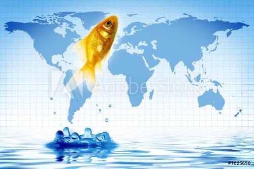 gold fish and world - 900636574