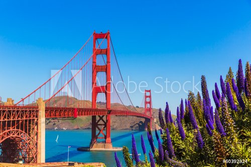 Golden Gate Bridge San Francisco purple flowers California - 901141331