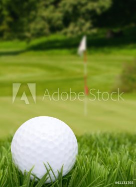 Golf Ball - 900400349