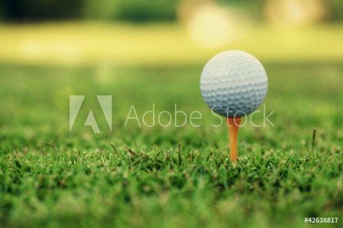 Golf ball on tee - 900453032